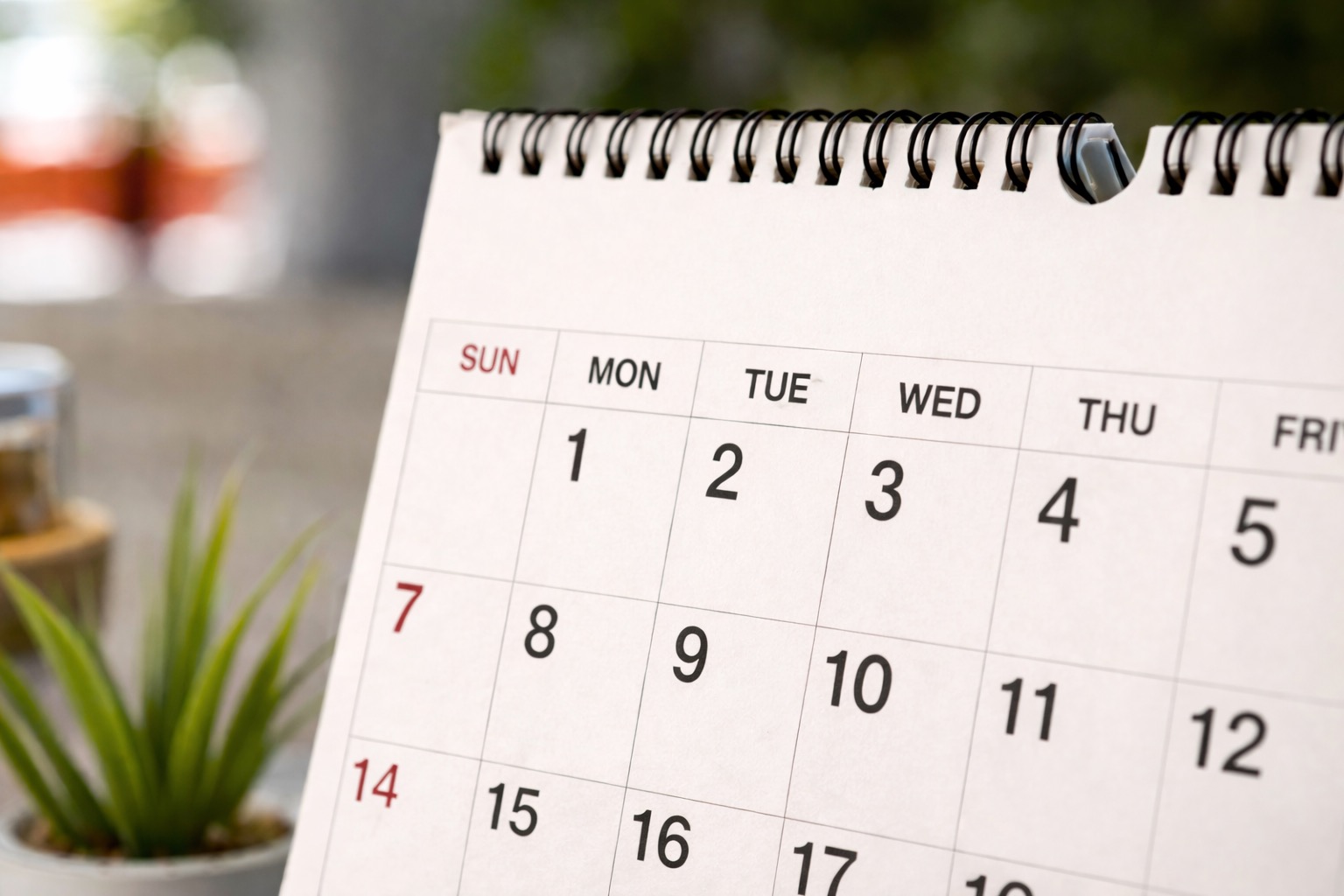 Calendar planning and school schedule